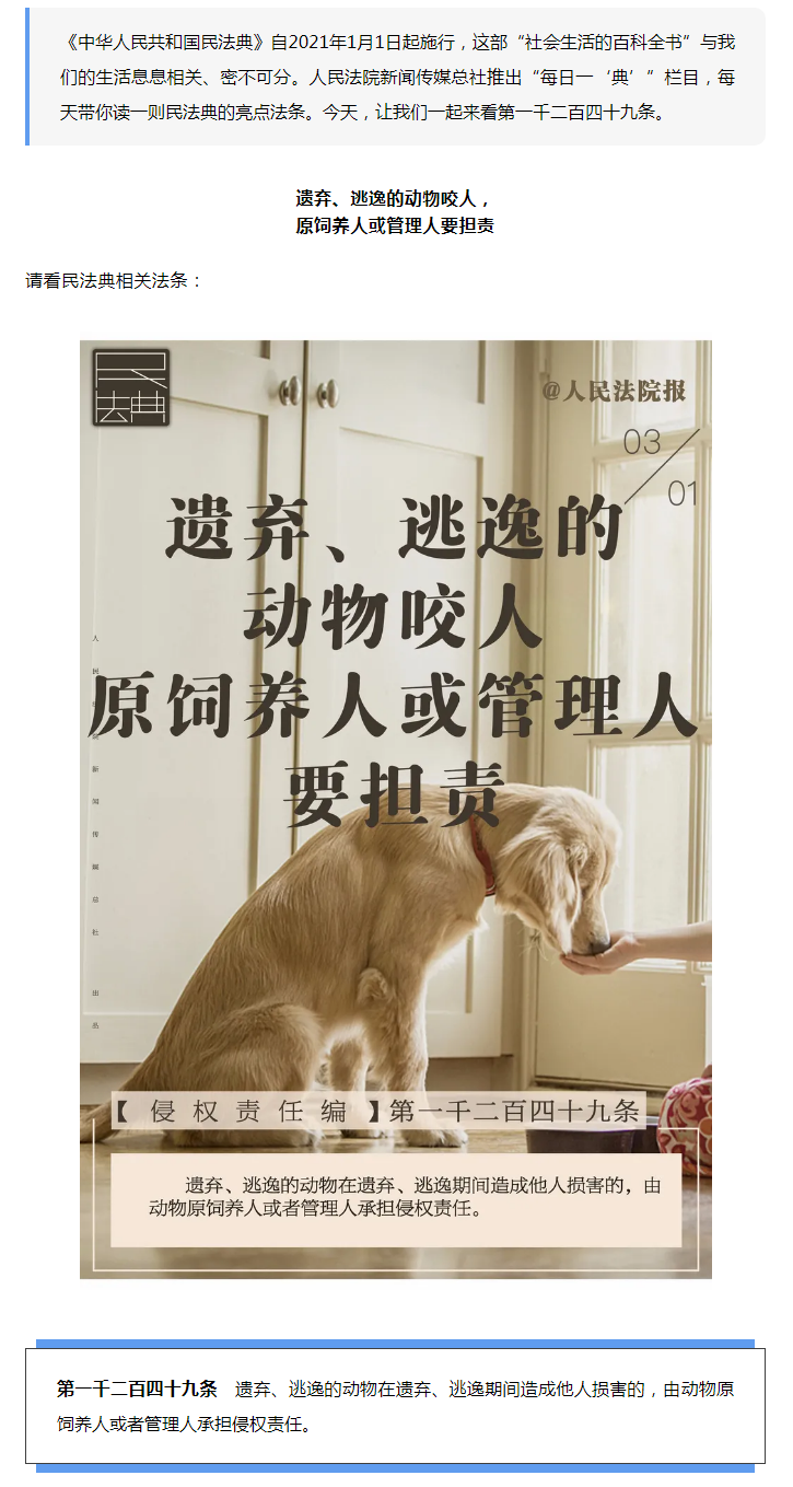 每日一“典”丨遺棄、逃逸的動(dòng)物咬人，責(zé)任誰承擔(dān)？.png