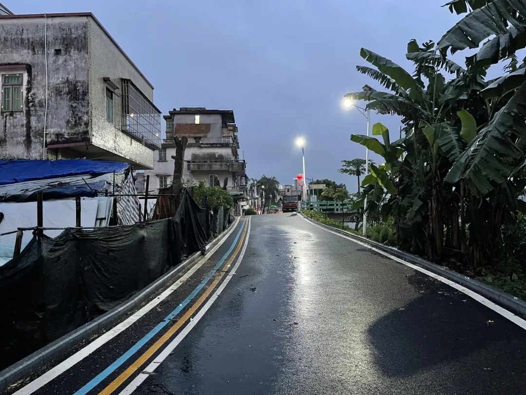 8修剪后，道路變得亮堂，附近村民的安全隱患也得到了解決.jpg