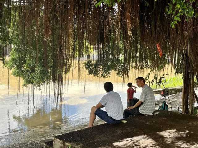 村民在大榕樹下乘涼聊天，黃姨（中）在岸邊唱歌。伍思懿 攝 
