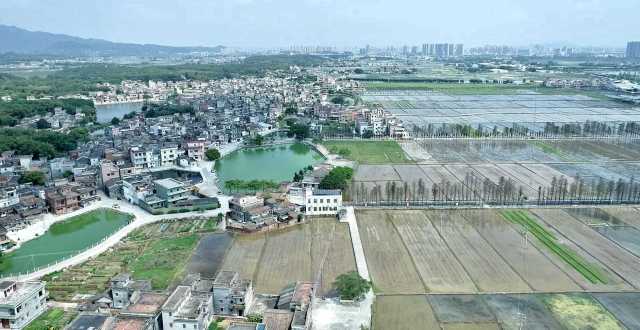 從長沙街道西溪村上空俯瞰，遠處青山疊翠、高樓聳立，近處屋舍儼然，池塘星羅棋布，農(nóng)田成方連片