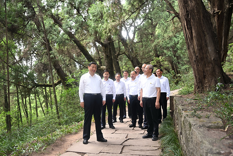 7月25日至27日，中共中央總書記、國家主席、中央軍委主席習(xí)近平在四川考察。這是25日下午，習(xí)近平在廣元市劍閣縣翠云廊考察。