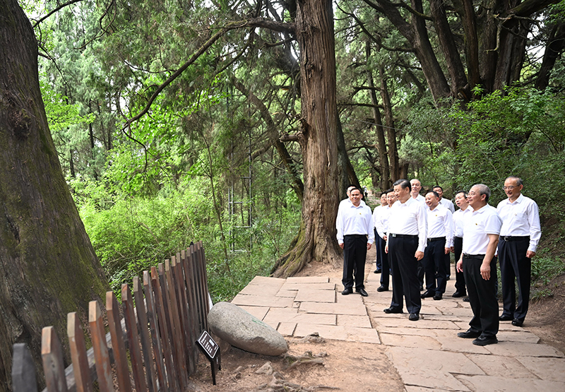 7月25日至27日，中共中央總書記、國家主席、中央軍委主席習(xí)近平在四川考察。這是25日下午，習(xí)近平在廣元市劍閣縣翠云廊考察。
