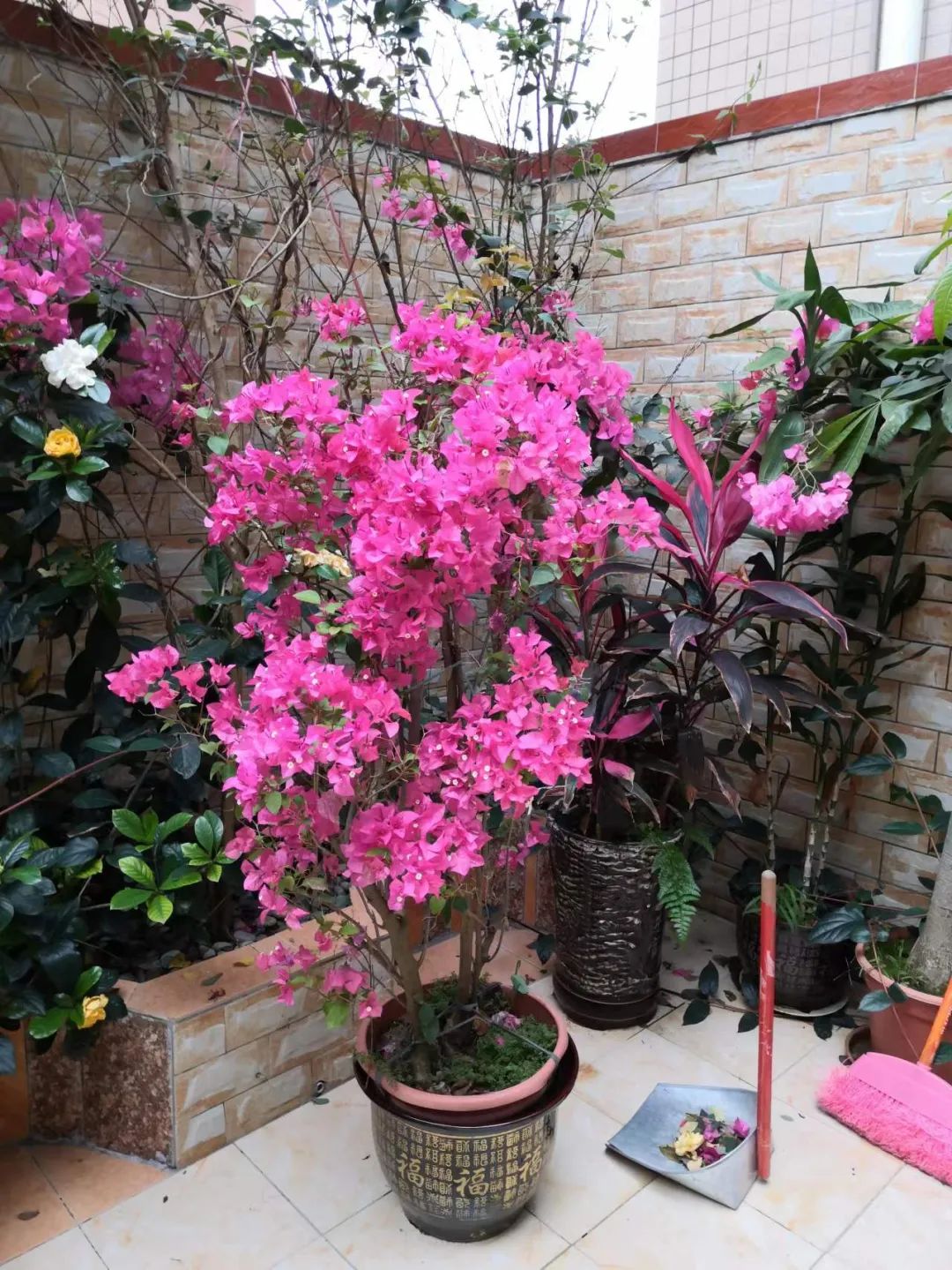 文章配圖