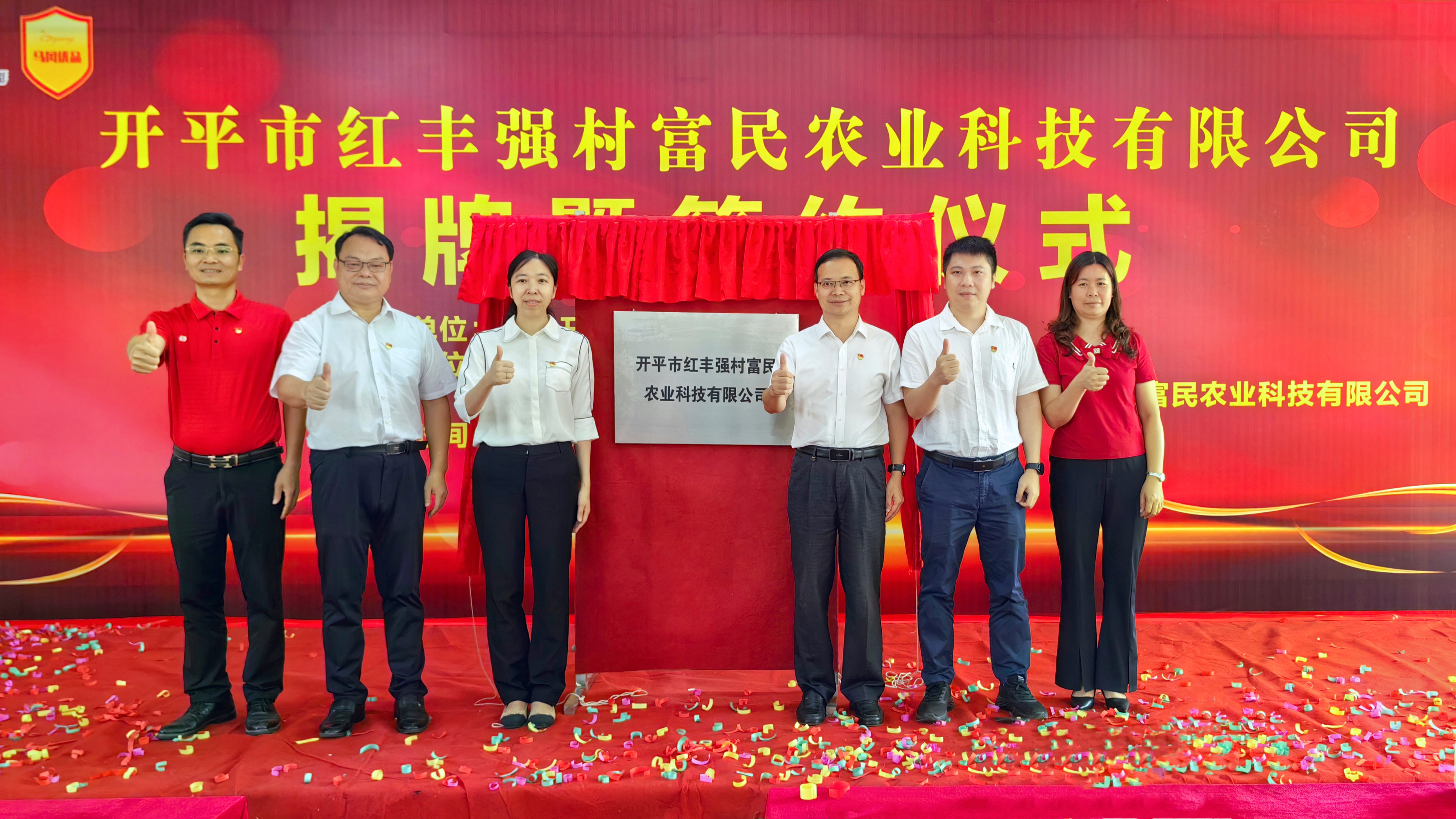 4.紅豐村成立開平市首家村級(jí)股份制強(qiáng)村富民公司.jpg