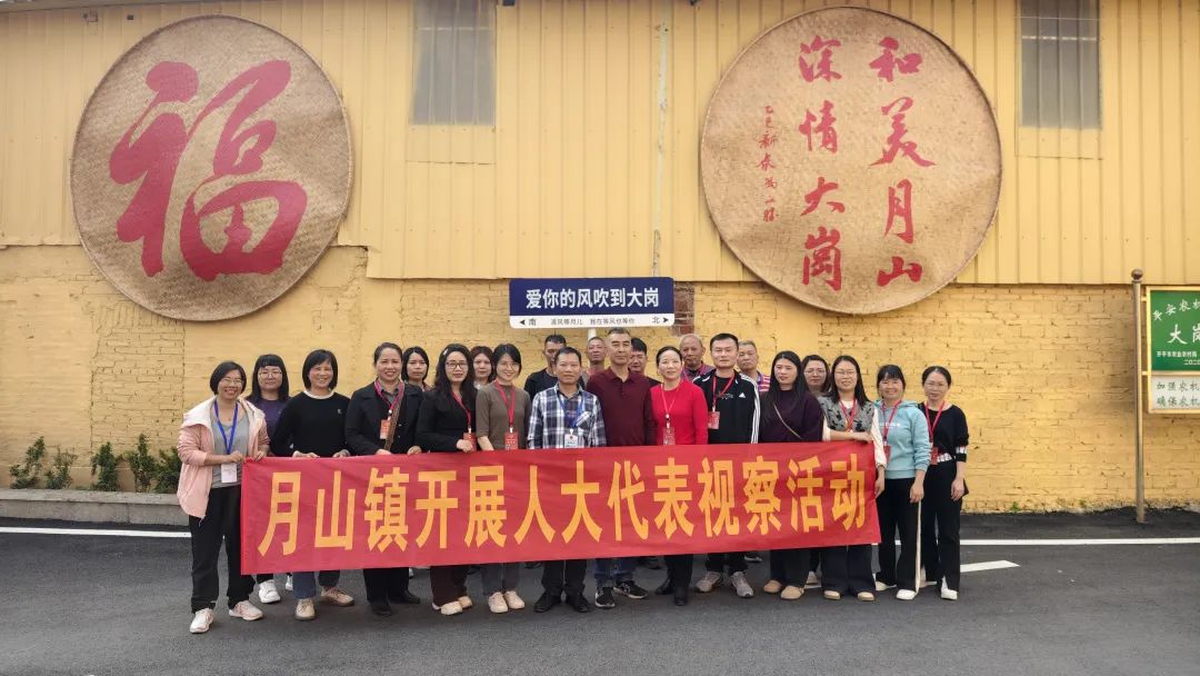 助力“百千萬工程”，月山人大在行動——月山鎮(zhèn)人大開展第一季度視察活動