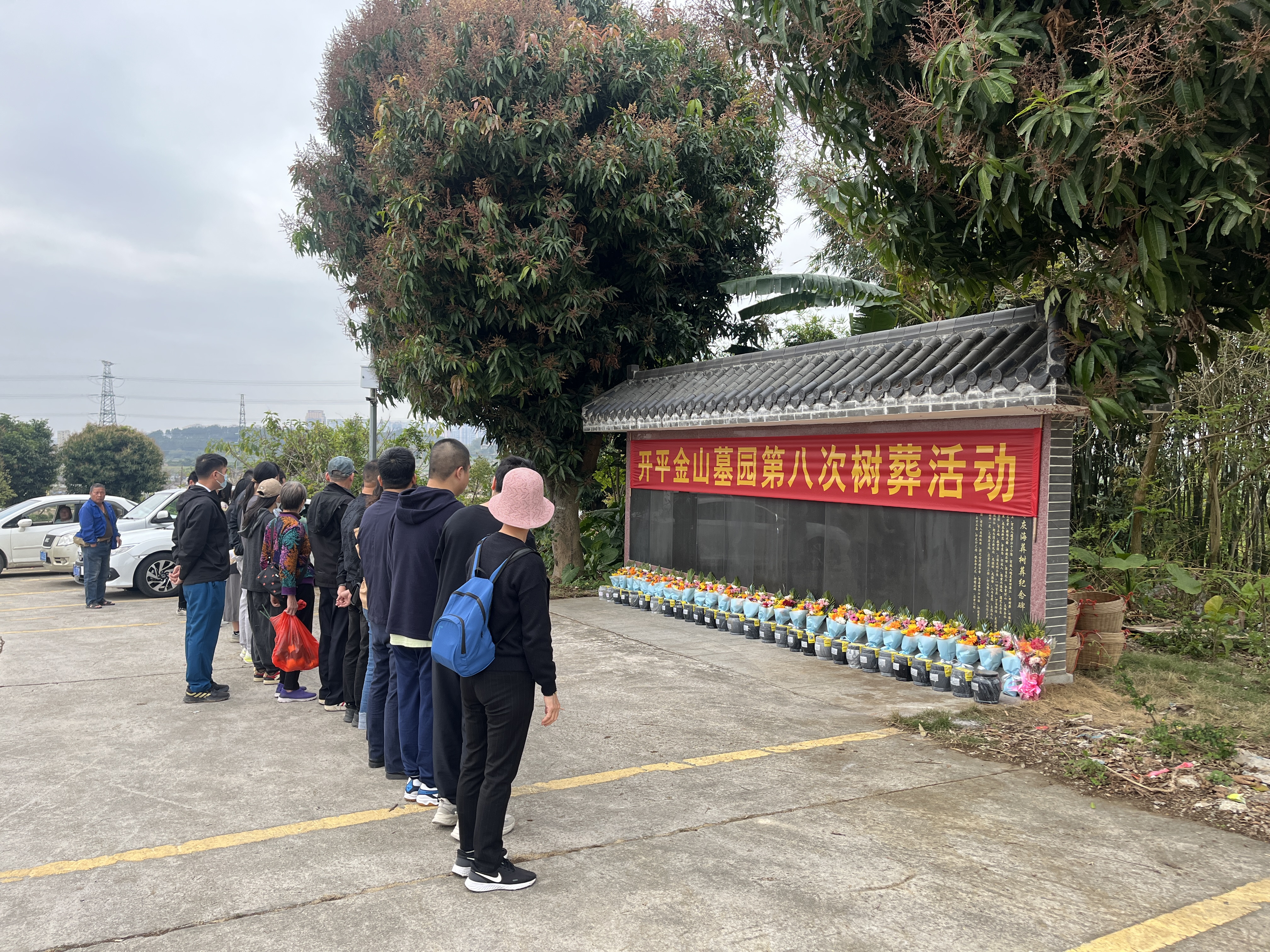 我們的節(jié)日·清明 開平市成功舉辦第八次集體樹葬活動(dòng)