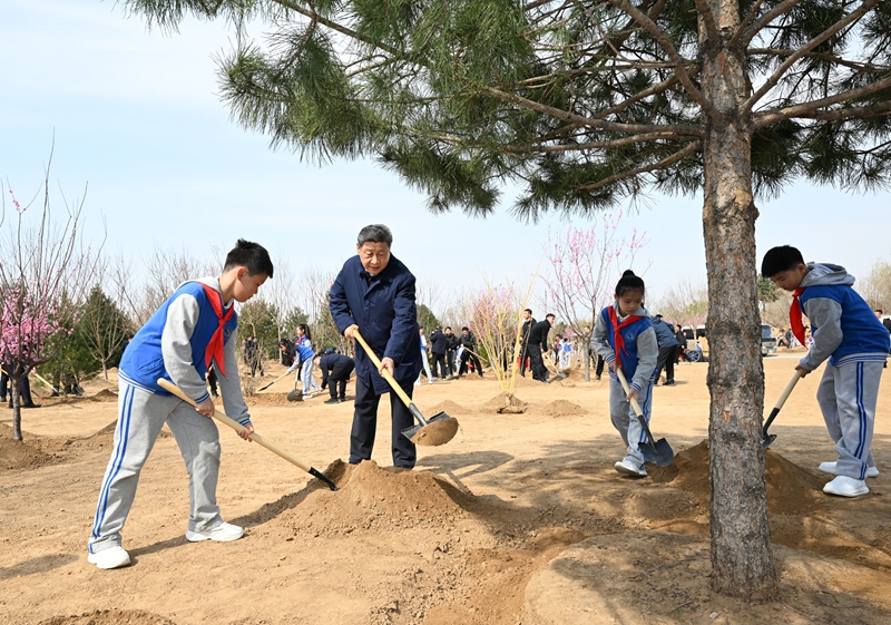 習近平在參加首都義務植樹活動時強調：匯聚共建美麗中國磅礴力量 讓祖國大地更加綠意盎然生機勃發(fā)